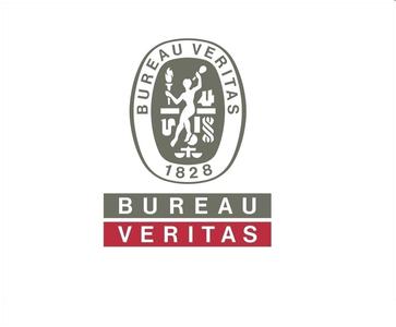 BV船舶数量增长强劲