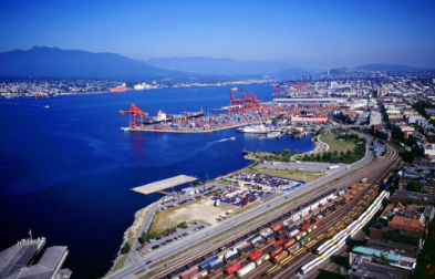 如何准确填写进口代理和检验的报关要素？