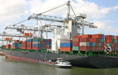 公认进口报关代理公司会采取哪些措施来确保报关服务的专业性？