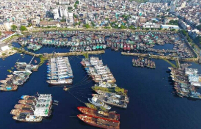 货代行业中澄清电和海运单的基本概念