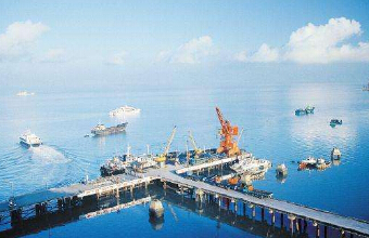 从事进出口贸易的你对报关代理了解多少？