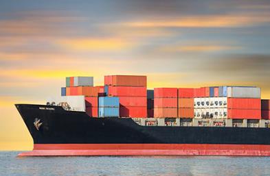 上海进出口货代行业的发展趋势主要体现在哪些方面？