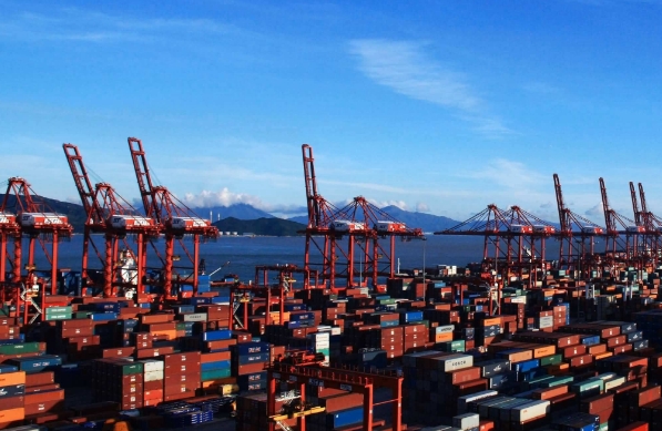 国际货代行业作为国际贸易的基石，正以前所未有的速度和广度发展着