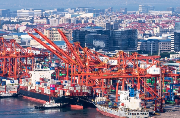 国际货代公司将继续发挥其优势，不断创新和提升服务水平