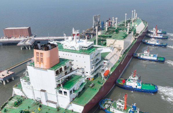 国际物流公司不仅是商品流动的载体，更是全球贸易的催化剂