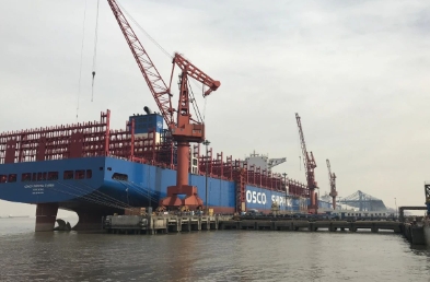 上海进出口货代不仅是商品的搬运者，更是信息的传递者、趋势的引领者