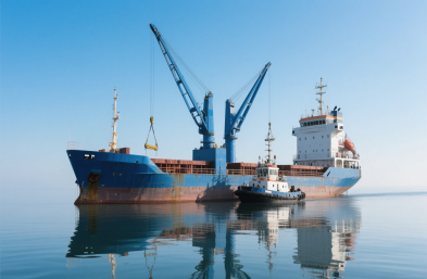 国际物流货运：农产品进口的定制化专家