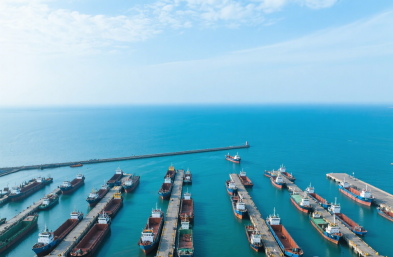 国际货物运输代理公司：咖啡进口的全程护航者