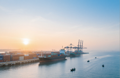 服装进口有高招，国际海运货代来助力