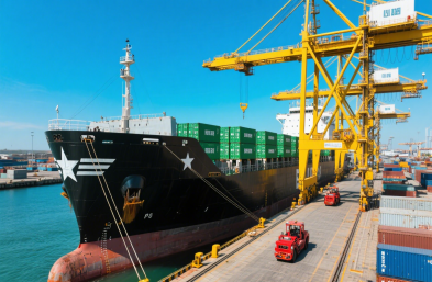 国际海运物流公司：高效运输，缩短木材出口时空距离