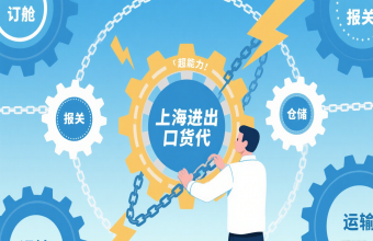 从港口到全球，上海进出口货代是海运的 “贴心管家”