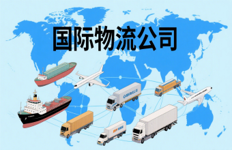 巩固航运枢纽地位！上海国际物流公司为全球贸易往来注入 “新动能”