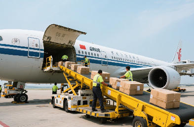 上海货代行业全景解析：空海双枢纽驱动的全球物流网络