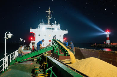 国际货运代理：海运 / 空运 / 陆运全航线，订舱到派送一站搞定